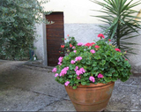 Charming Village House with Balcony $90K ITALY, TUSCANY, LUCCA,